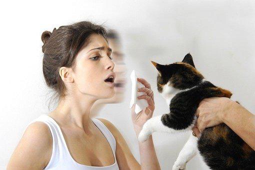 аллергическая реакция на кошку