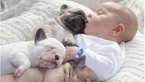 Ребенок, спящий со щенками