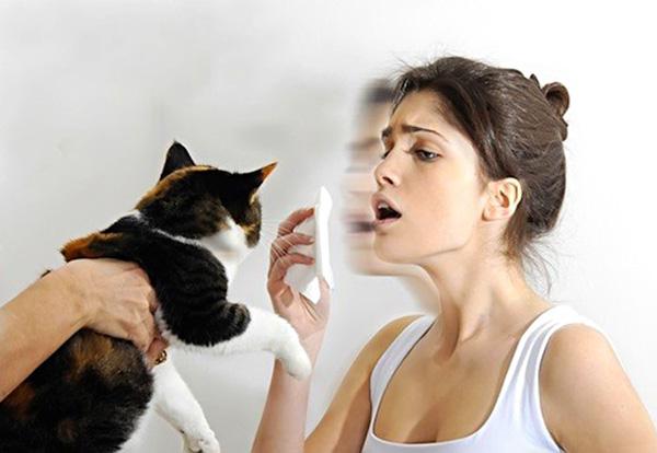 девушка чихает на кошку