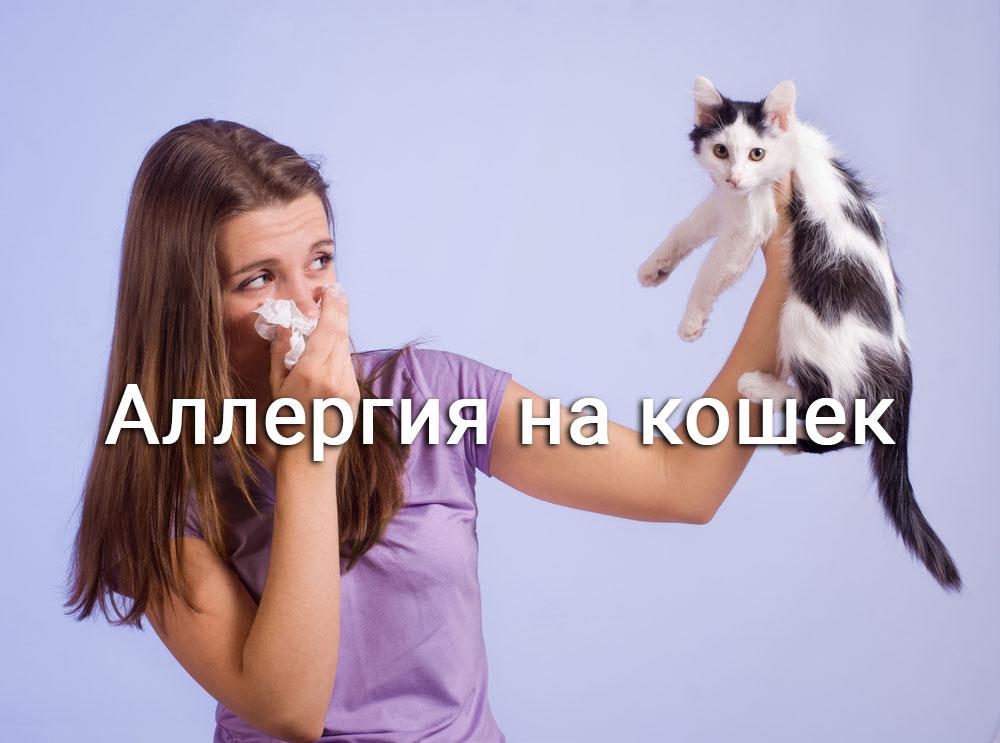 У девушки аллергия на кошку