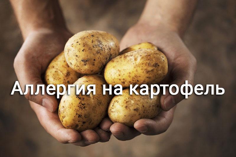 картофель в руках