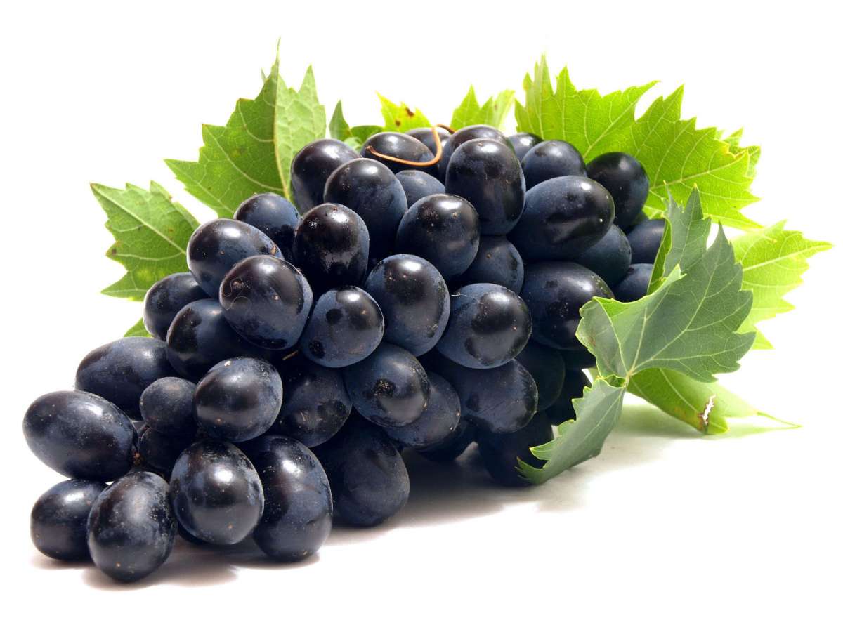 Чёрный виноград
