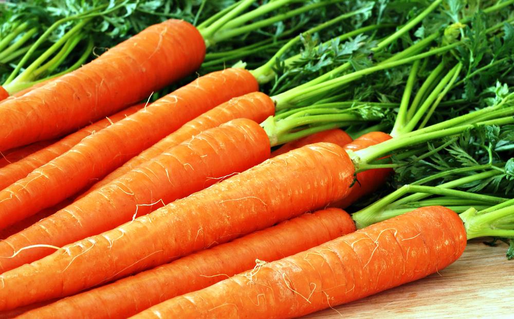 Морковка 